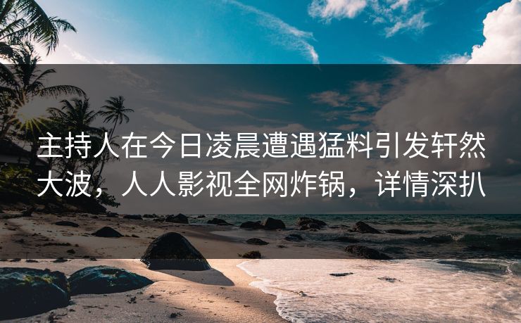 主持人在今日凌晨遭遇猛料引发轩然大波，人人影视全网炸锅，详情深扒