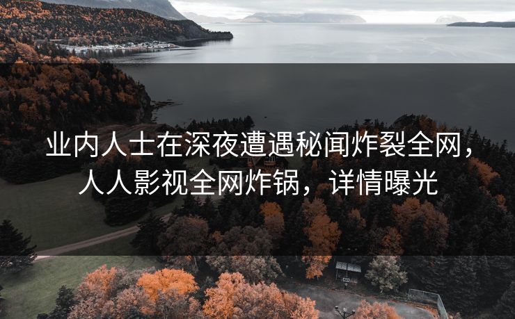 业内人士在深夜遭遇秘闻炸裂全网，人人影视全网炸锅，详情曝光
